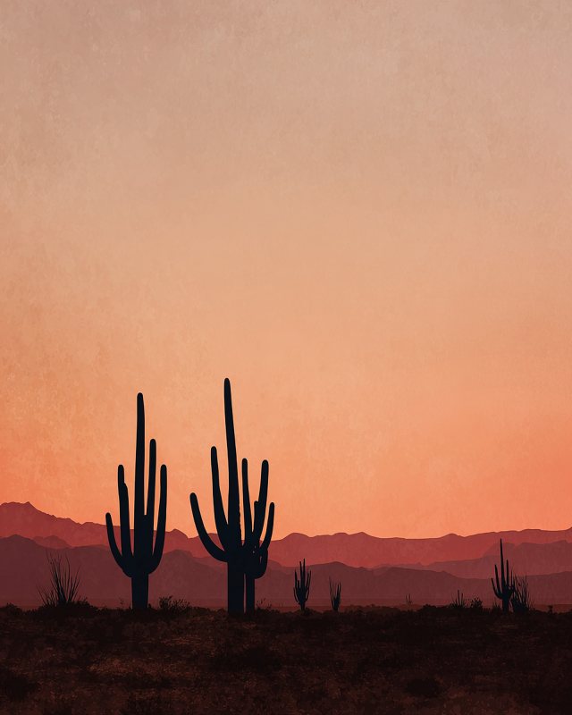 Desert Cactus Sunset II Printable Wall Art | Southwestern Landscape Print | Instant Digital Download — printable digital download